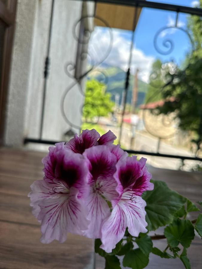 Bala'S House Hotel Mestia Exterior photo